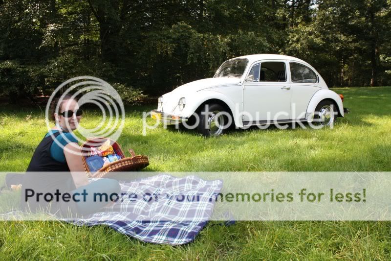 Wat voor een auto hebben jullie?  Picknicken