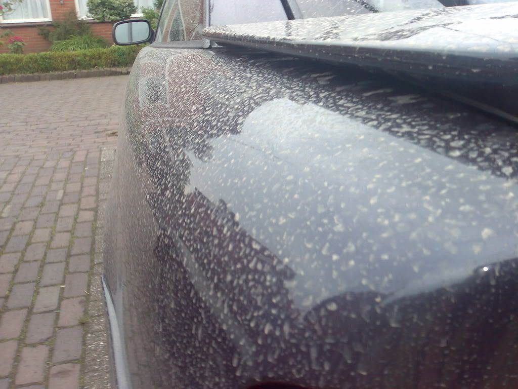 NokiaN80joost209.jpg