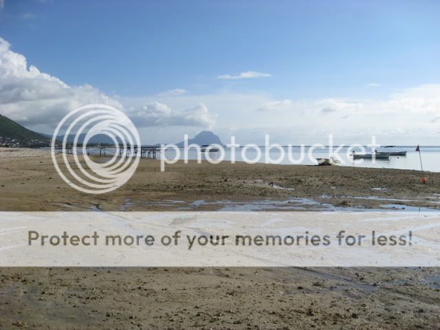 Cr de mes plongées à l'ile Maurice avec du soleil, de l'eau à 27° et des photos ..floues IMG_1229