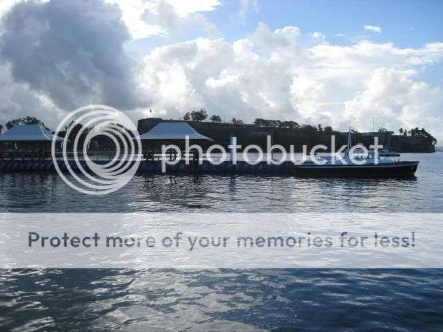 CR de mes plongées en Martinique (Attention beaucoup de photos) IMG_0769-1
