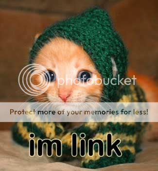 Funny Images~! Kittylink