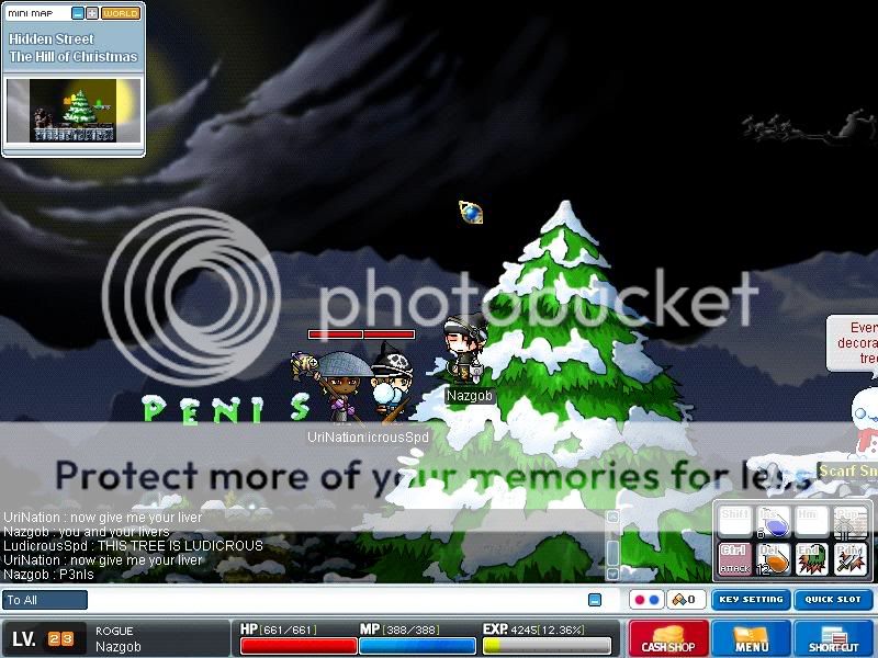 User Image