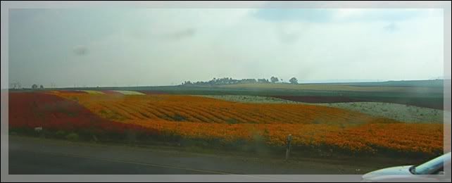 Image hosting by Photobucket