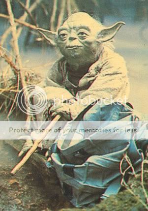yoda.jpg