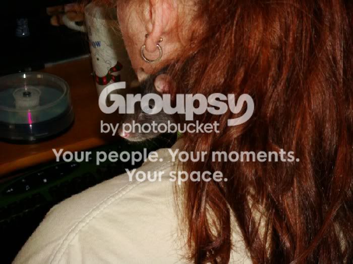 User Image