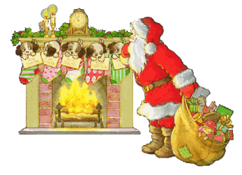 Santa_Claus44.gif