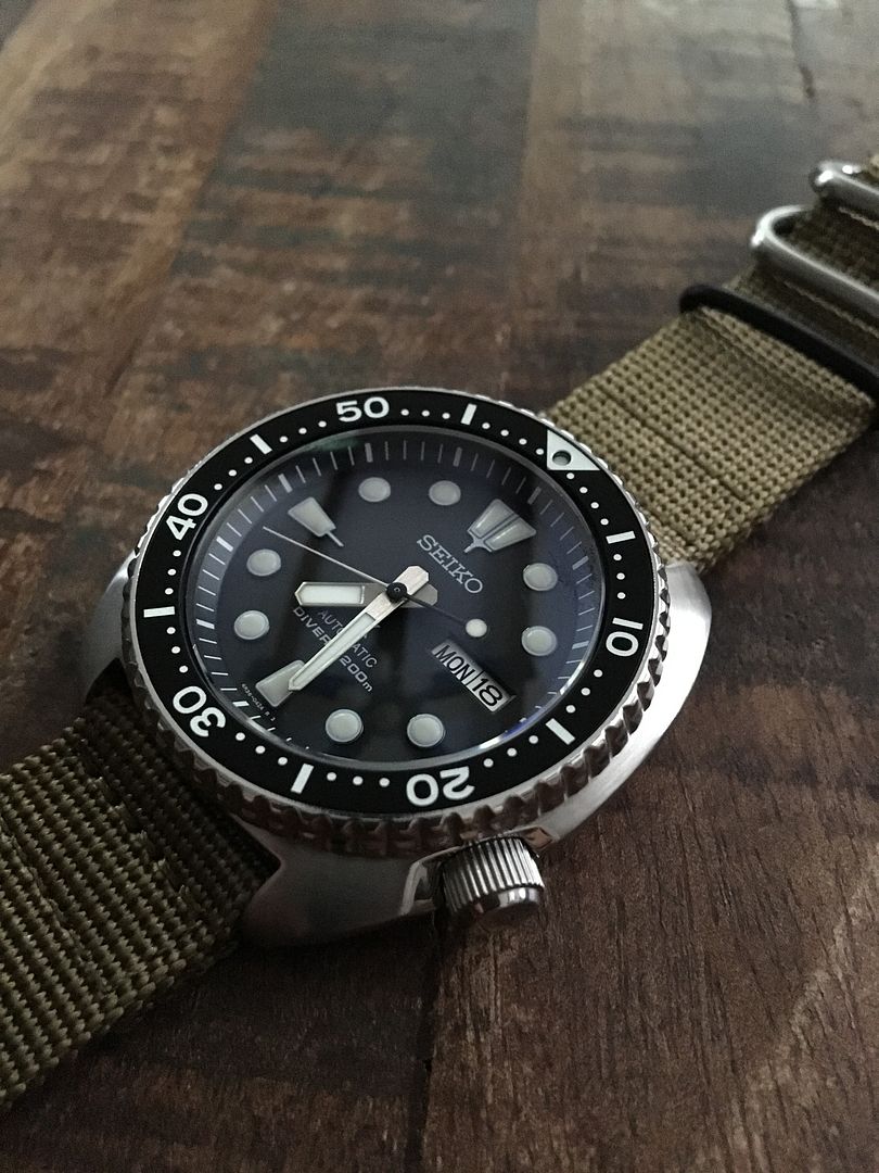 The turtle thread @@@@ | Page 71 | WatchUSeek Watch Forums