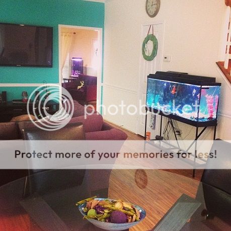 photo 13807_4260200219140_1519090846_n.jpg