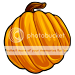 Application Requirements Pumpkin