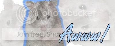 Image hosted by Photobucket.com