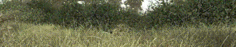 https://img.photobucket.com/albums/v83/rac_goshawk/callofduty4stab.gif