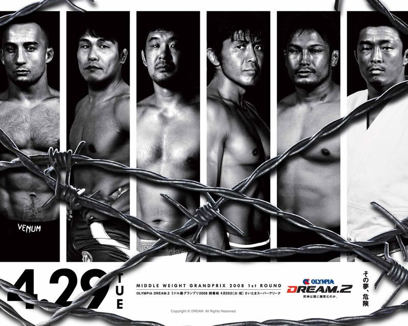 MMA Posters Dream-2-mma-1038468_1280_1024