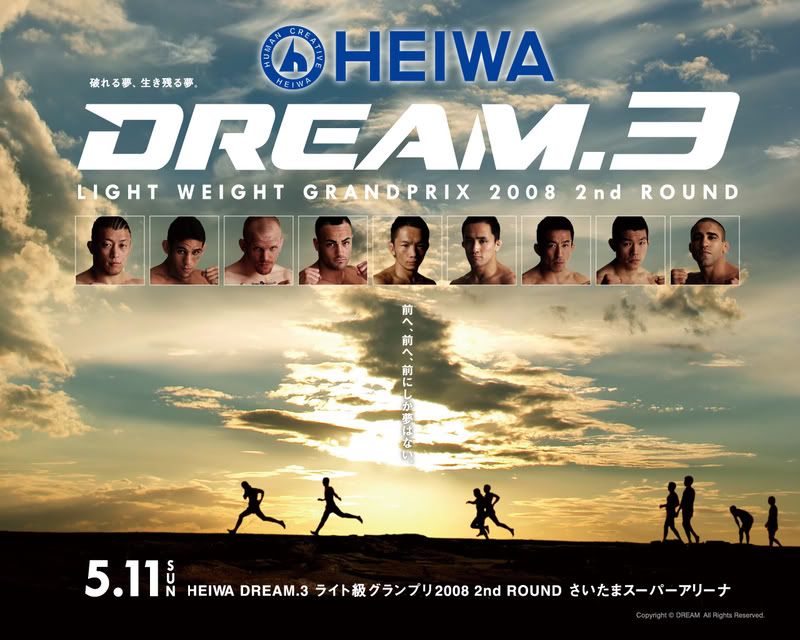 MMA Posters Dream-3-mma-1149173_1280_1024