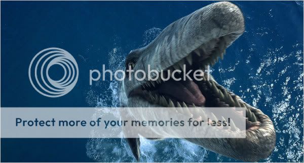 Photo Sharing and Video Hosting at Photobucket