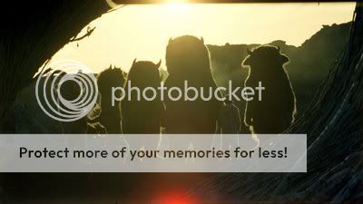 Photo Sharing and Video Hosting at Photobucket