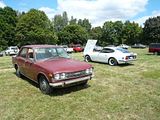 th_P1010786.jpg