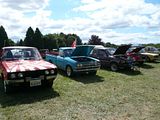 th_P1010812.jpg