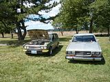 th_P1010824.jpg