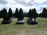 th_P1010862.jpg