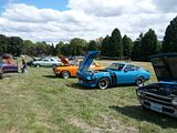 th_P1010869.jpg