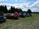 th_P1010872.jpg